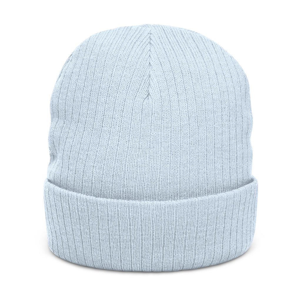 Stylish Ribbed Beanie - 'No Envy Society' Beanie, Winter Accessory, Gift for Friends, Beanie Hat, Trendy Headwear, Unisex Cap